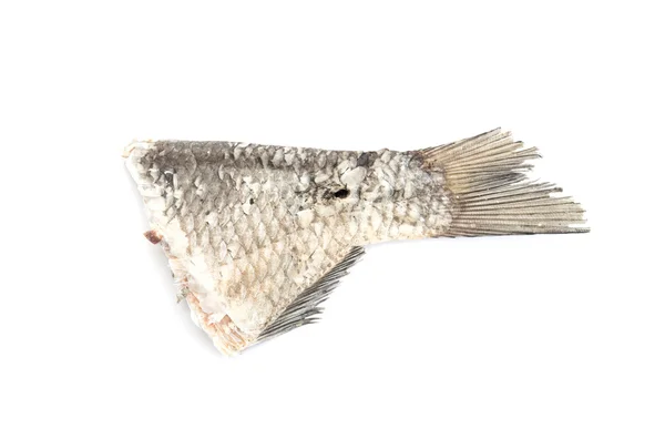 Pescado — Foto de Stock