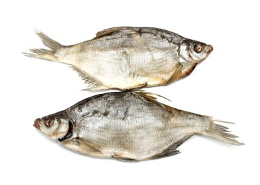 Balık