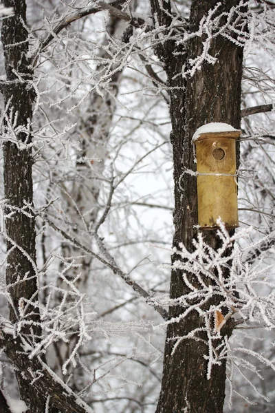 Nature — Stock Photo, Image