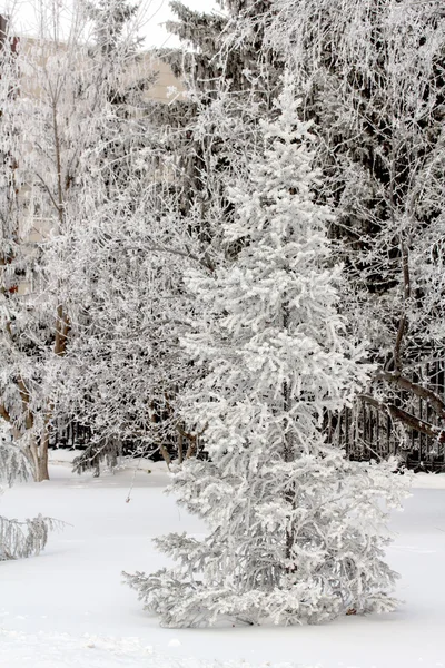 Nature — Stock Photo, Image