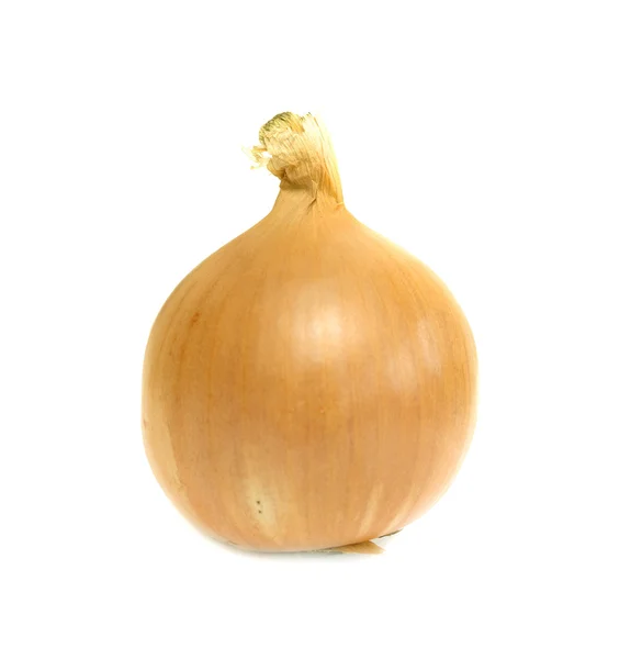 Onions on a white background — Stock Photo, Image