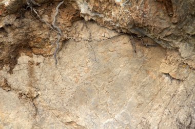 Doku deniz kıyısı kaya