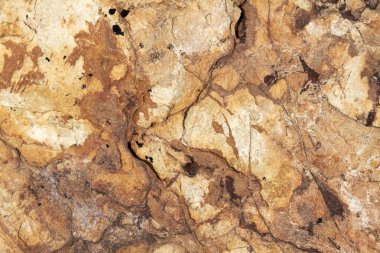 Doku deniz kıyısı kaya