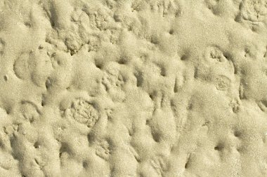 Sea sand background clipart