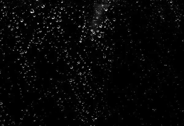 Gotas de agua sobre un fondo negro — Foto de Stock