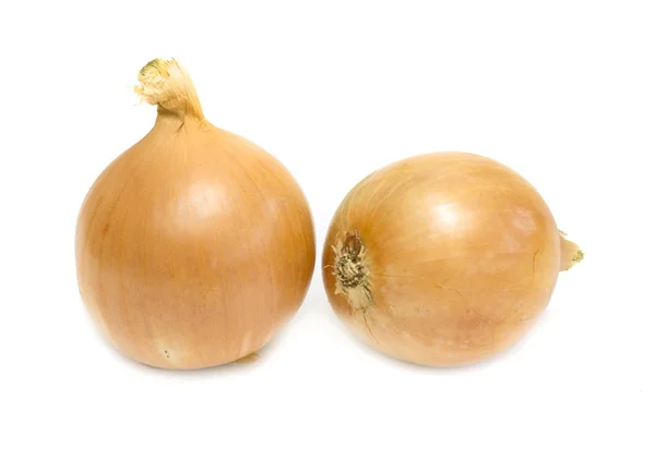 Onions on a white background — Stock Photo, Image