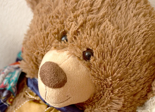 Портрет старого іграшкового ведмедя — стокове фото