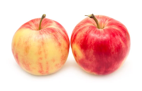 Fresh apples isolated — Stock Photo, Image