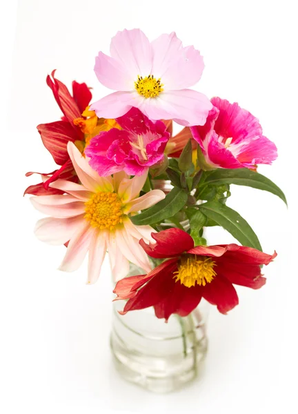 Kytice květů na bílém pozadí — Stock fotografie