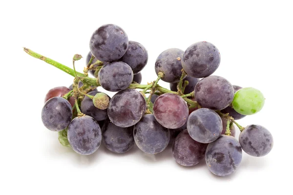 Dirty grapes on a white — Stock Photo, Image