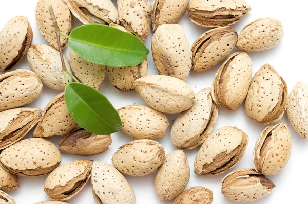 Frutti di mandorla su un bianco — Foto Stock