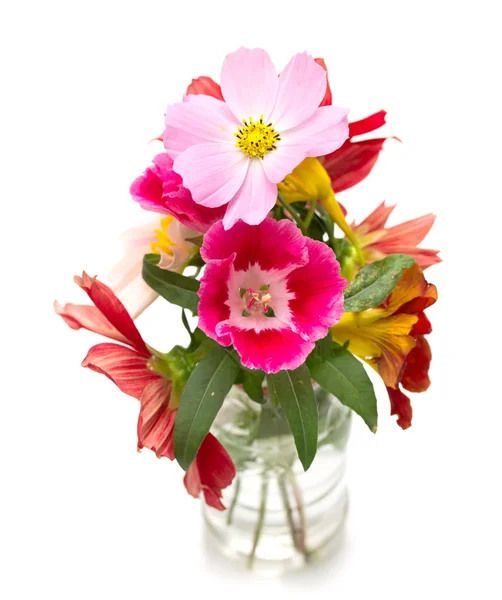 Kytice květů na bílém pozadí — Stock fotografie