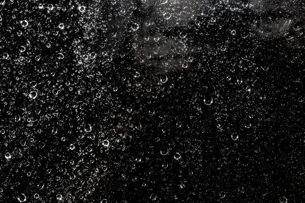 Bir siyah su damlaları — Stok fotoğraf