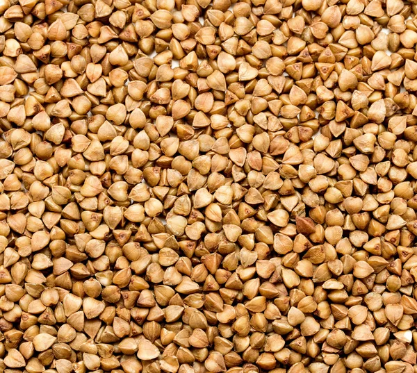 Buckwheat cereal background — Stock Photo, Image