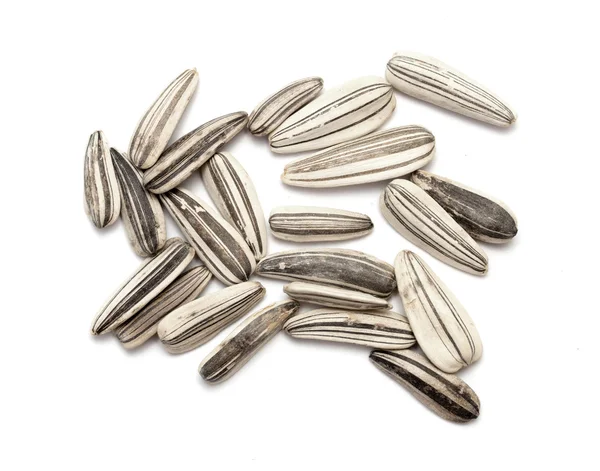 Sunflower seeds pile — Stock Photo, Image