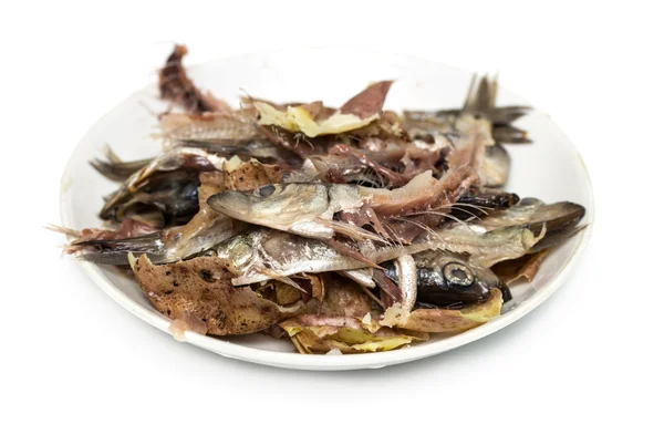 Fish bones on a plate — Stock Photo, Image