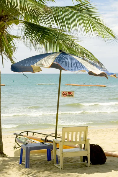 Playa con palmera — Foto de Stock