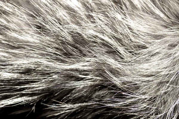 抽象灰色毛皮背景 — 图库照片
