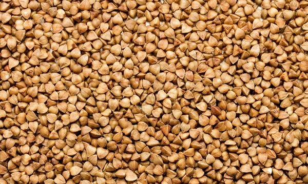 Buckwheat corns closeup — Stock Photo, Image