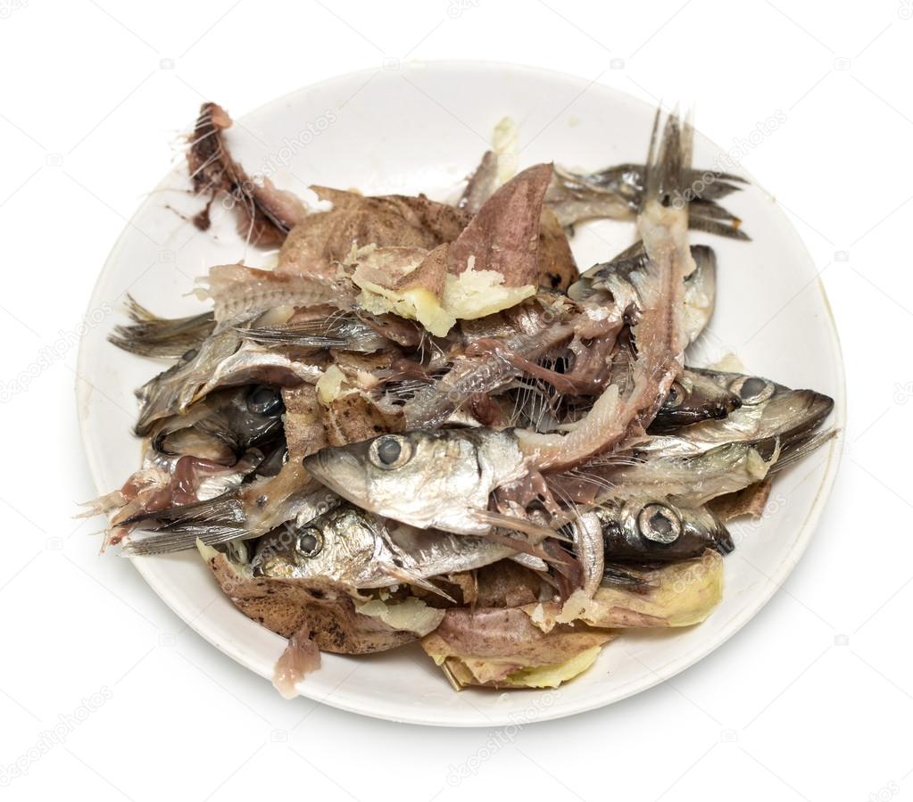Fish bones on a plate