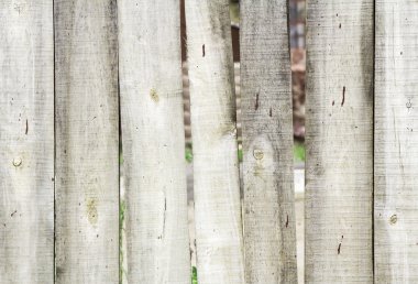 Tahta çit panelleri