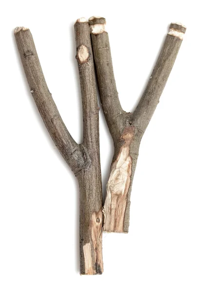 Wood slingshot isolated — Stock Photo, Image