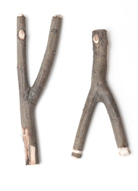 Bir beyaz bir ağaçtan sapanlarla