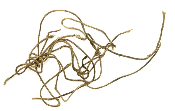 Seilschleife isoliert — Stockfoto