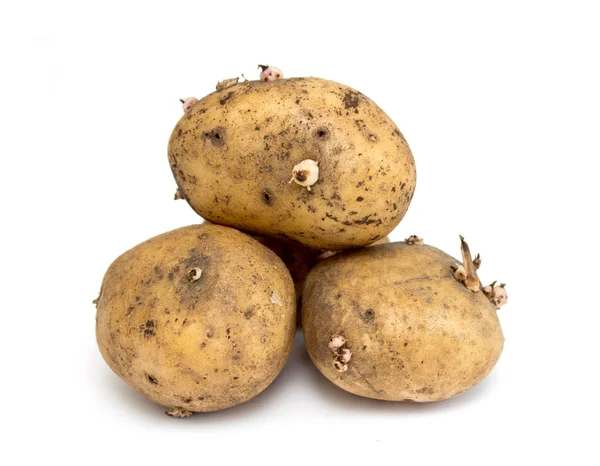 Potato isolated on white — Stock Photo, Image