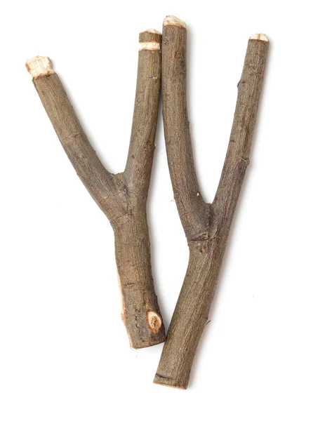 Slingshots from a tree on a white — Stock Photo, Image