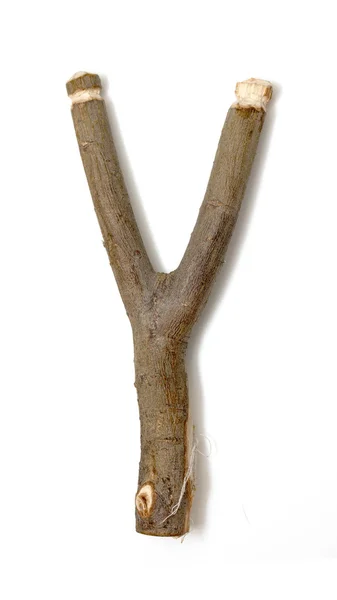Деревянная рогатка изолирована — стоковое фото