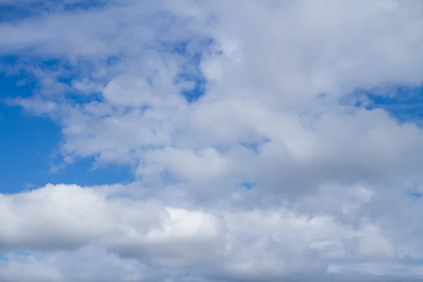 青空に積もる積雲 — ストック写真