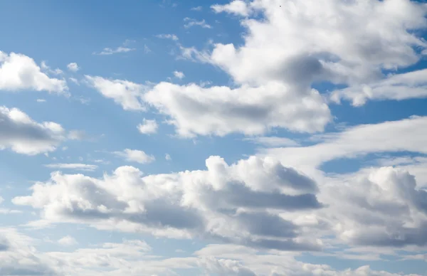 青空に積もる積雲 — ストック写真