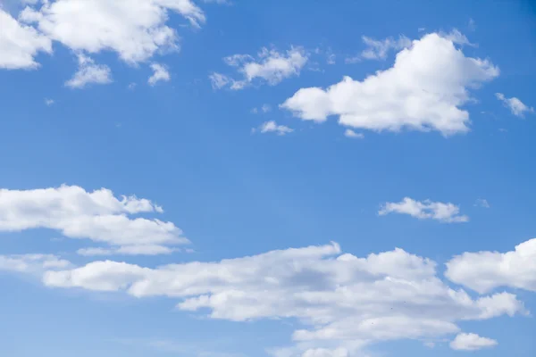 Nubes cúmulos en el cielo azul —  Fotos de Stock