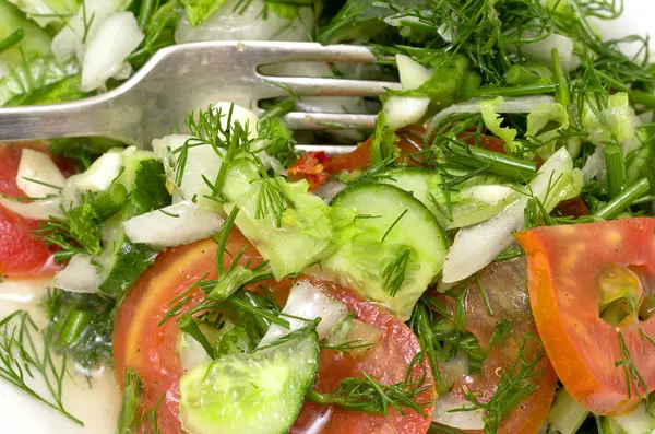 Verse groenten salade — Stockfoto