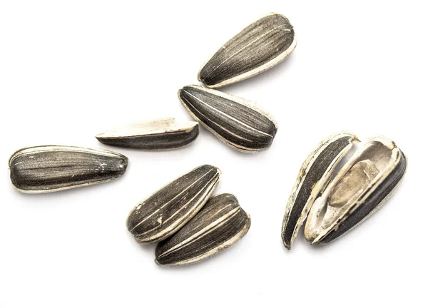 Sunflower seeds on white — Stock Photo, Image