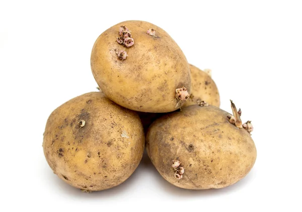 Heap of potatoes isolated — Stock Photo, Image