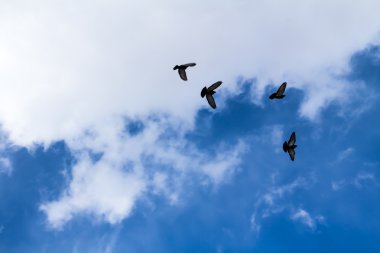 Mavi gökyüzündeki bulutlar