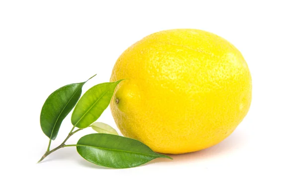 Один стиглі лимон — стокове фото