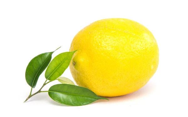 One ripe lemon — Stock Photo, Image