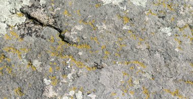 Grunge taş arka plan