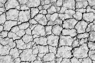 Kuru çatlamış toprak