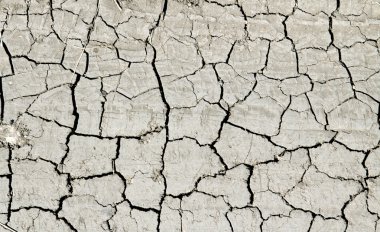Kuru çatlamış toprak