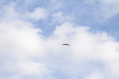 Bulutlu mavi gökyüzü