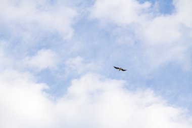 Bulutlu mavi gökyüzü