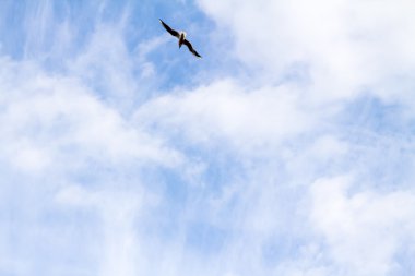 Bulutlu mavi gökyüzü