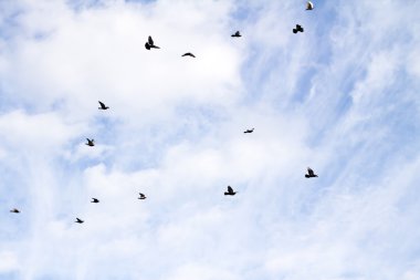 Bulutlu mavi gökyüzü