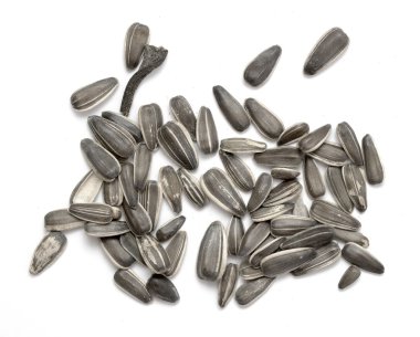 ayçiçeği tohumu beyaz