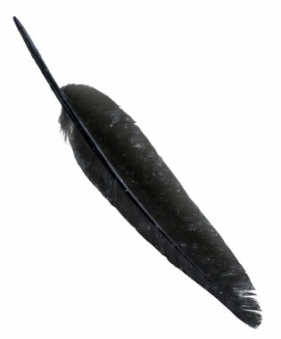 kuş tüyü siyah arkaplanda