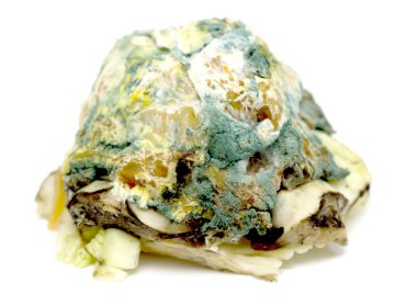 Şımarık çürük lahana